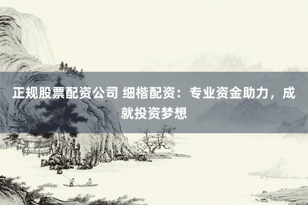 正规股票配资公司 细楷配资：专业资金助力，成就投资梦想