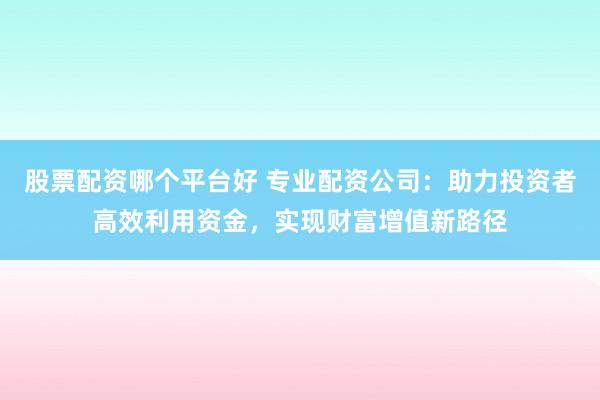 股票配资哪个平台好 专业配资公司：助力投资者高效利用资金，实现财富增值新路径