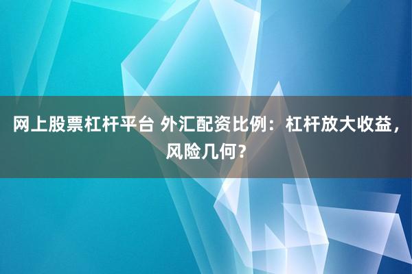 网上股票杠杆平台 外汇配资比例：杠杆放大收益，风险几何？