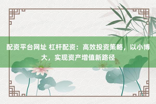 配资平台网址 杠杆配资：高效投资策略，以小博大，实现资产增值新路径