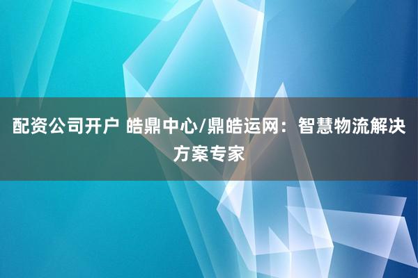 配资公司开户 皓鼎中心/鼎皓运网：智慧物流解决方案专家