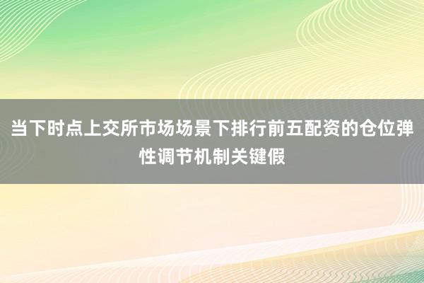 当下时点上交所市场场景下排行前五配资的仓位弹性调节机制关键假