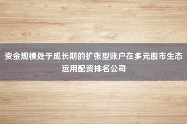 资金规模处于成长期的扩张型账户在多元股市生态运用配资排名公司