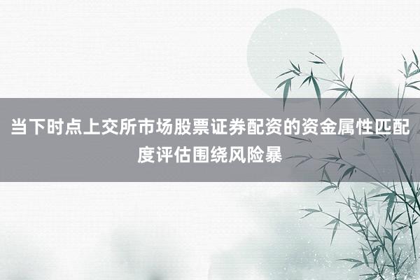 当下时点上交所市场股票证券配资的资金属性匹配度评估围绕风险暴