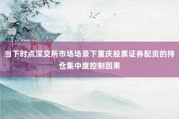 当下时点深交所市场场景下重庆股票证券配资的持仓集中度控制因果