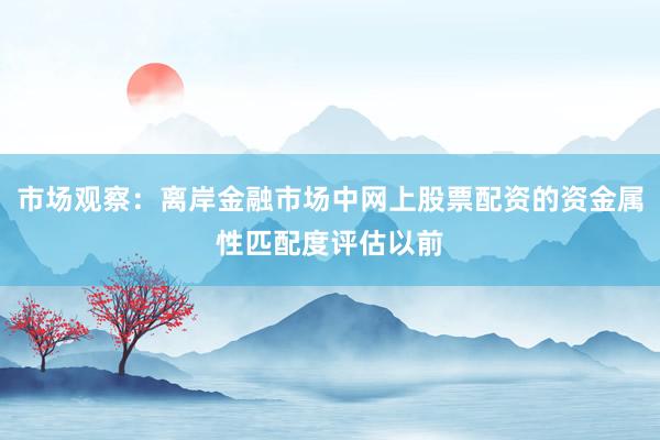 市场观察：离岸金融市场中网上股票配资的资金属性匹配度评估以前