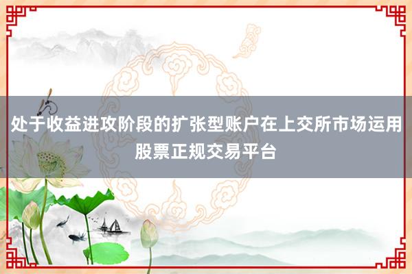 处于收益进攻阶段的扩张型账户在上交所市场运用股票正规交易平台