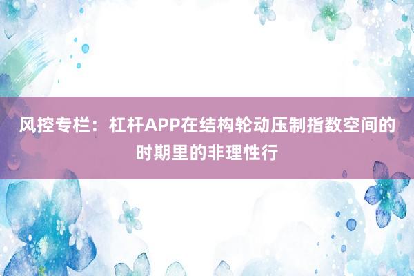 风控专栏：杠杆APP在结构轮动压制指数空间的时期里的非理性行