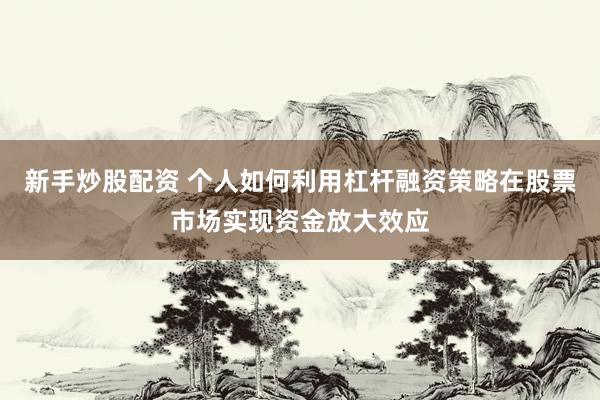 新手炒股配资 个人如何利用杠杆融资策略在股票市场实现资金放大效应