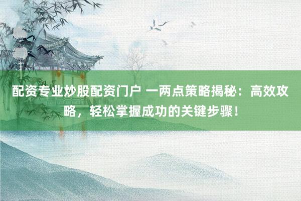 配资专业炒股配资门户 一两点策略揭秘：高效攻略，轻松掌握成功的关键步骤！
