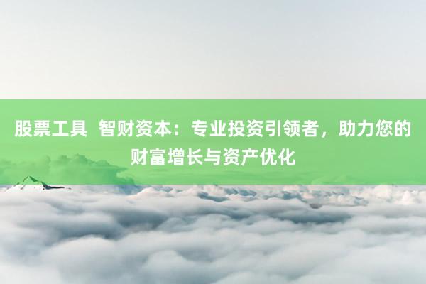 股票工具  智财资本：专业投资引领者，助力您的财富增长与资产优化