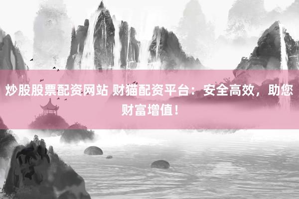 炒股股票配资网站 财猫配资平台：安全高效，助您财富增值！